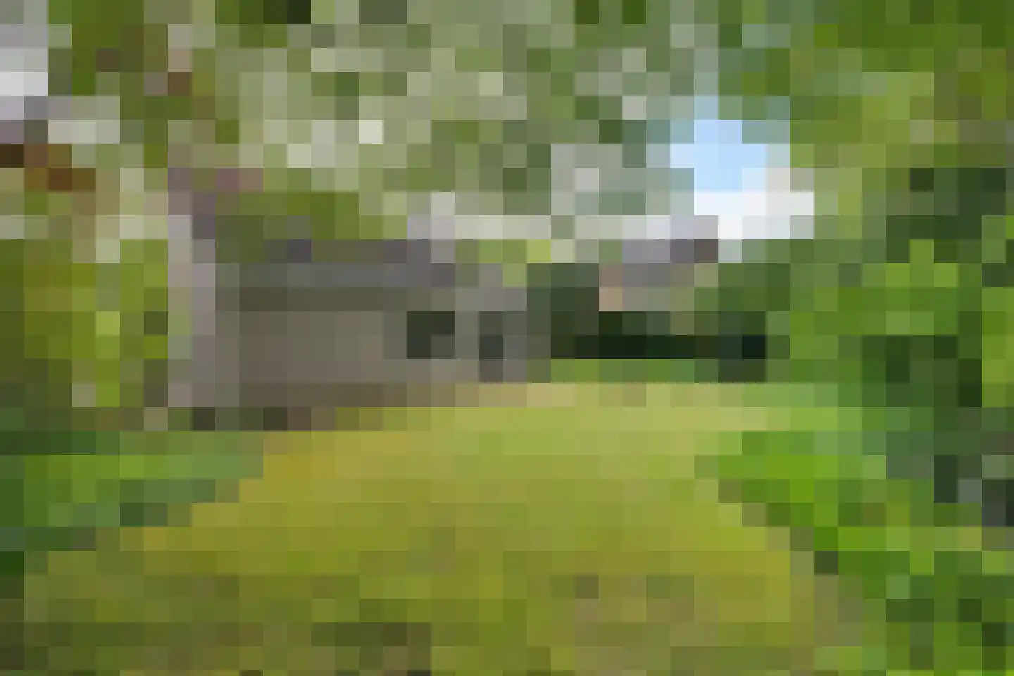 Borgerbrink 25 Emmen thumbnail 37
