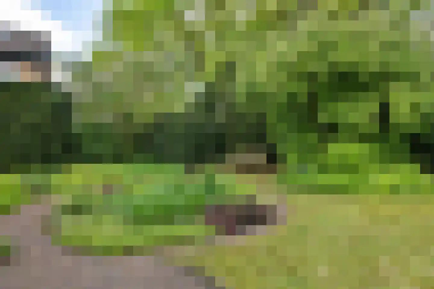 Borgerbrink 25 Emmen thumbnail 43