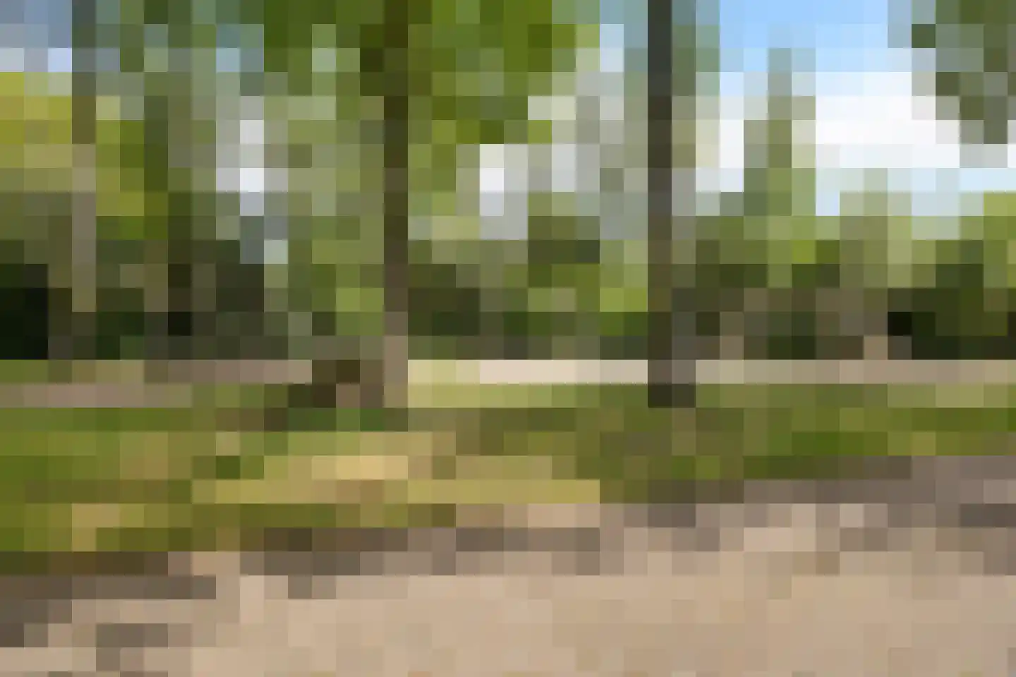Borgerbrink 25 Emmen thumbnail 46
