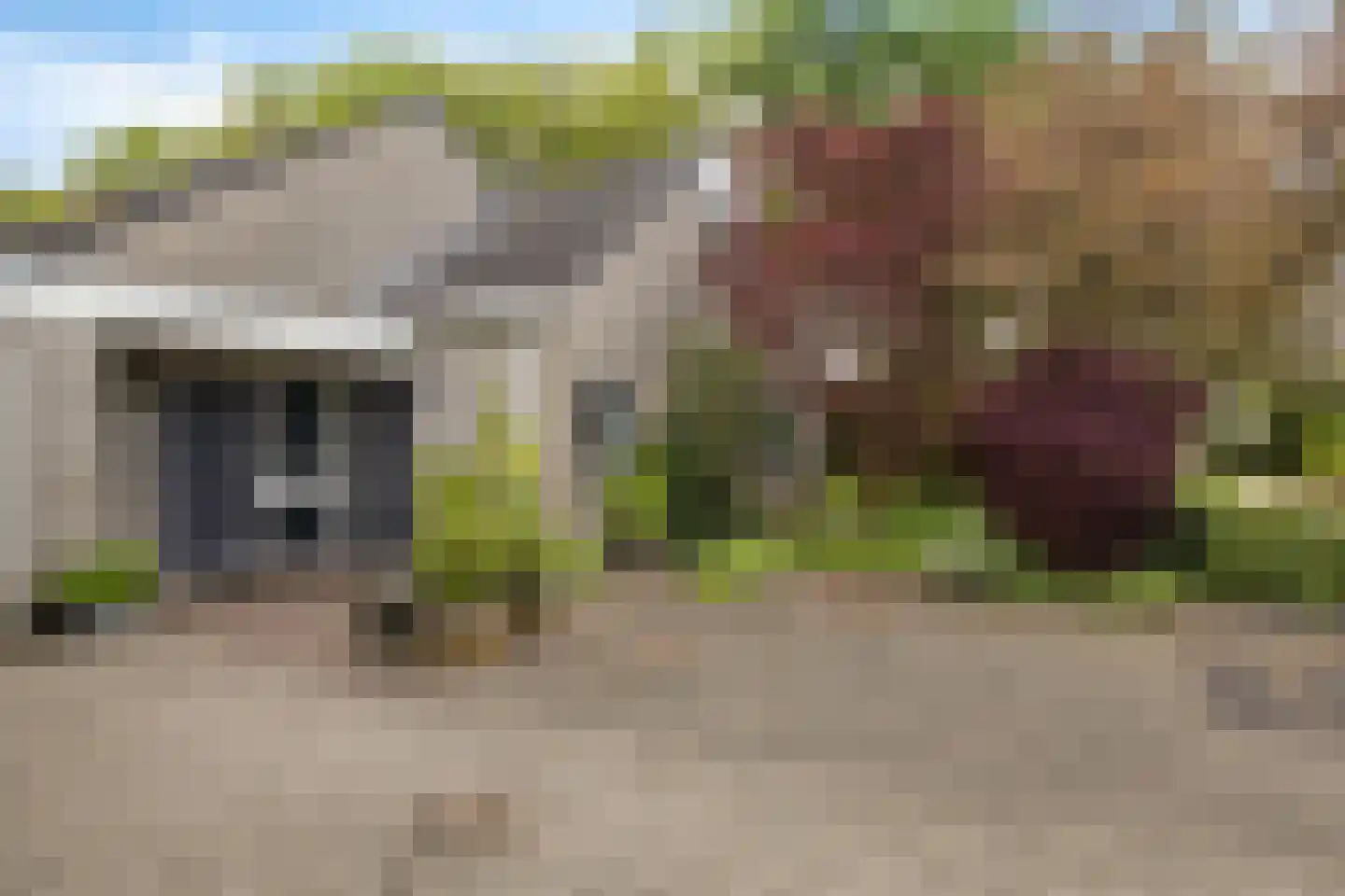 Borgerbrink 25 Emmen thumbnail 5