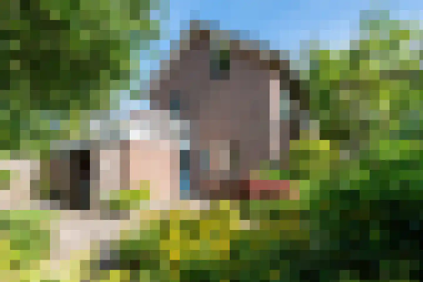 Borgerbrink 39 Emmen thumbnail 27