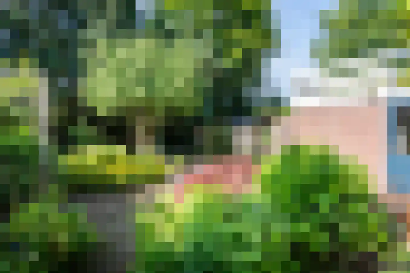 Borgerbrink 39 Emmen thumbnail 28