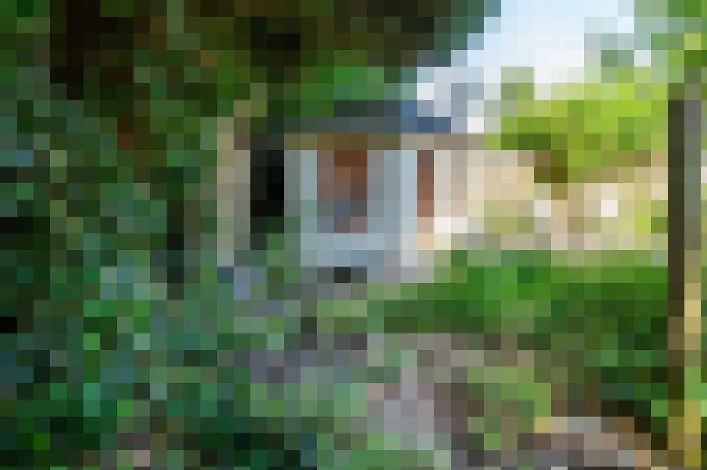 Borgerbrink 39 Emmen thumbnail 31