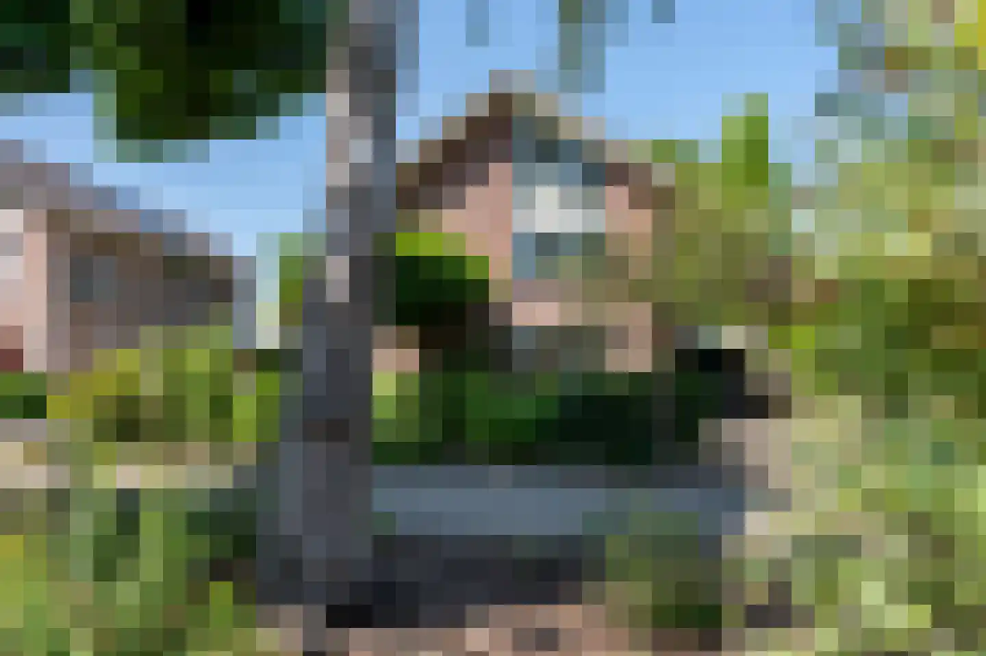 Borgerbrink 39 Emmen thumbnail 33