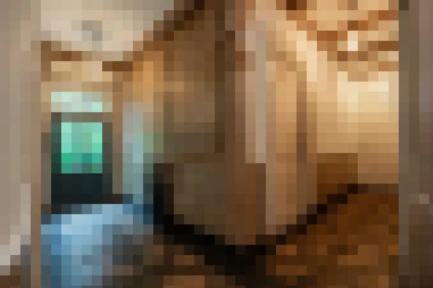 Borgercompagnie 178 Borgercompagnie thumbnail 18