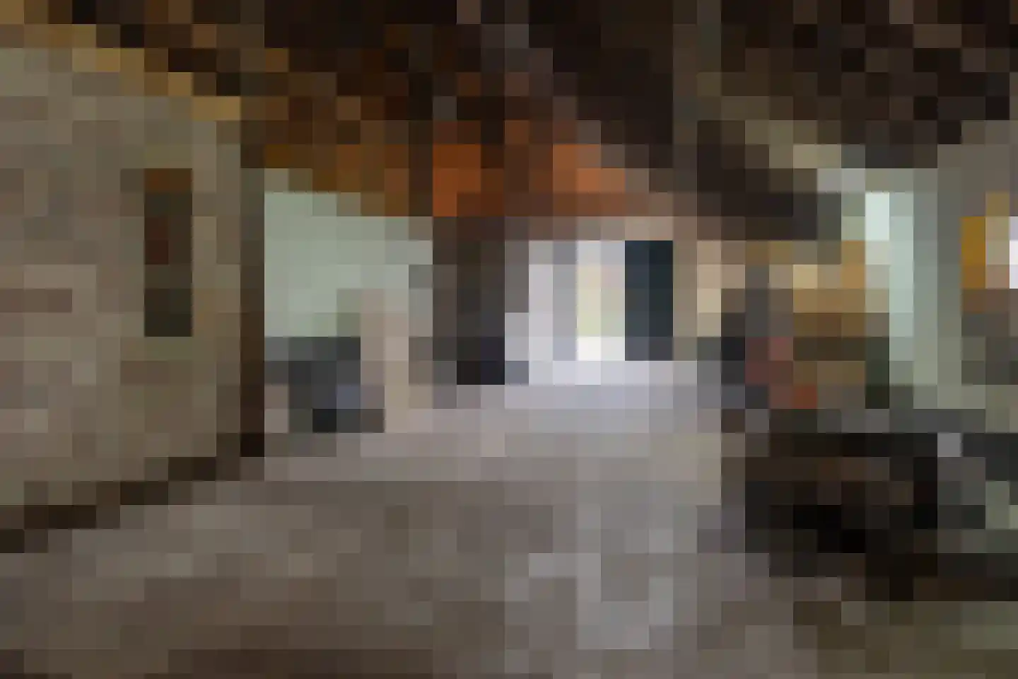 Borgercompagnie 178 Borgercompagnie thumbnail 46