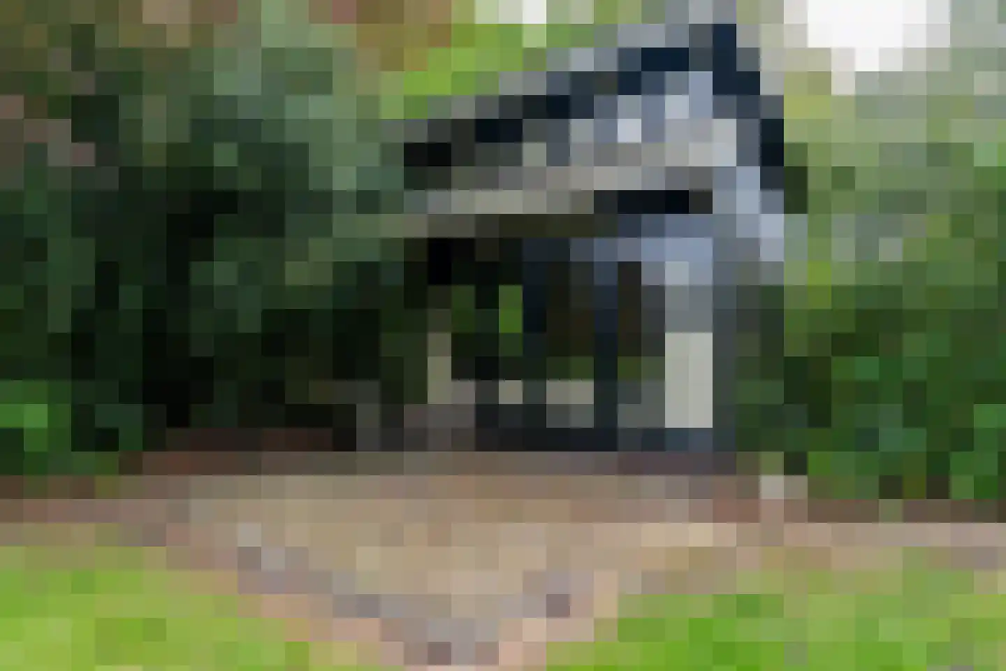 Borgercompagnie 178 Borgercompagnie thumbnail 53