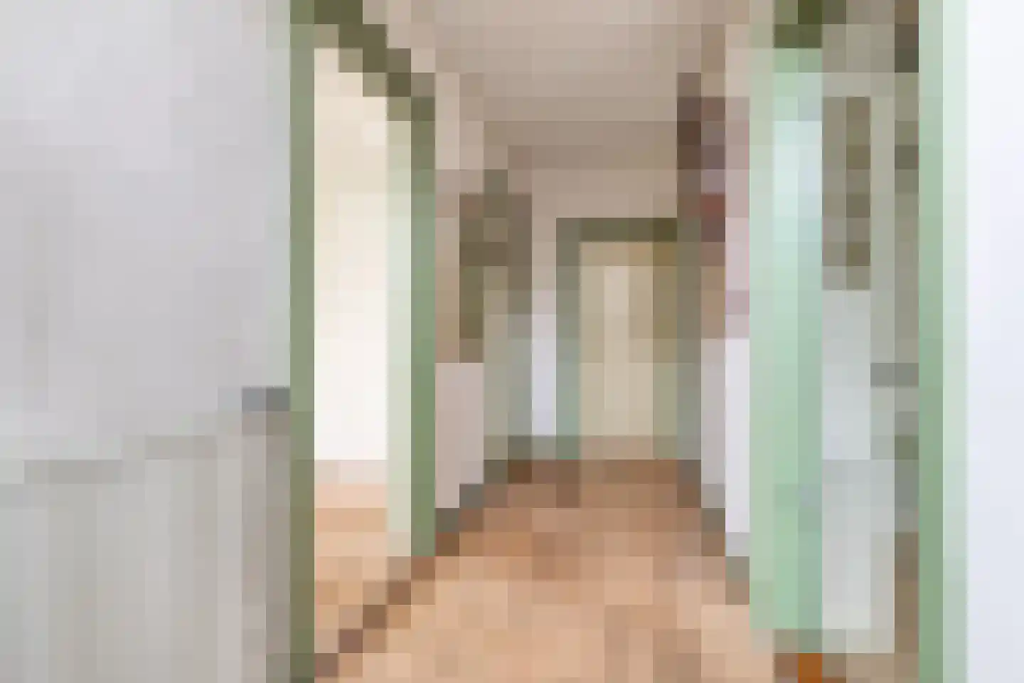 Borgercompagnie 25 Sappemeer thumbnail 14
