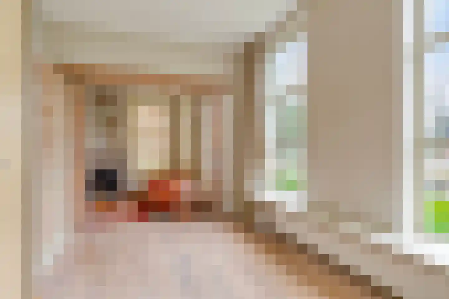 Borgercompagnie 25 Sappemeer thumbnail 24