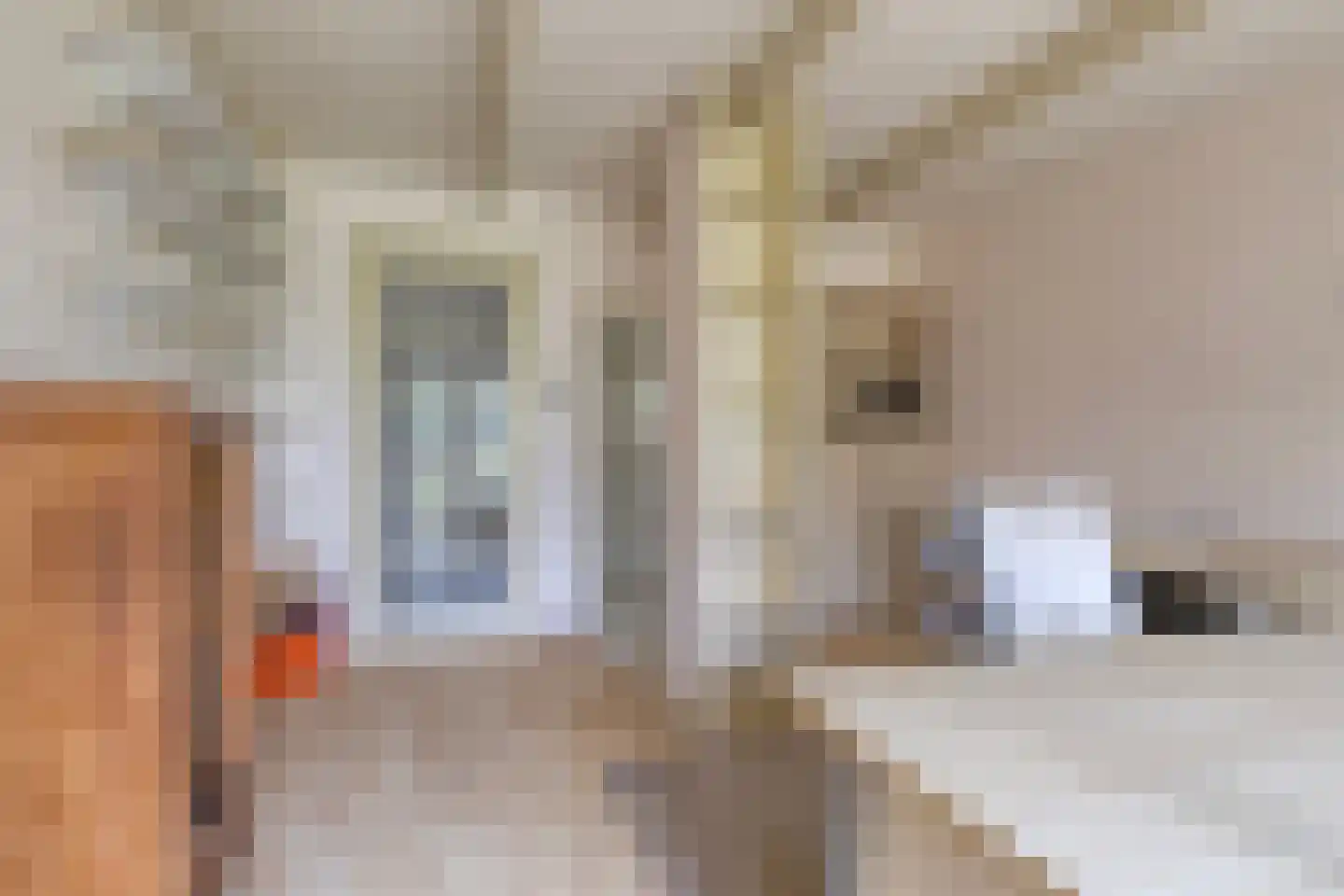 Borgercompagnie 25 Sappemeer thumbnail 41