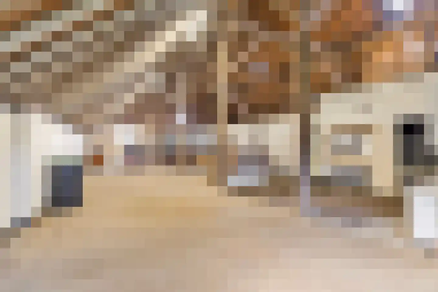 Borgercompagnie 25 Sappemeer thumbnail 48