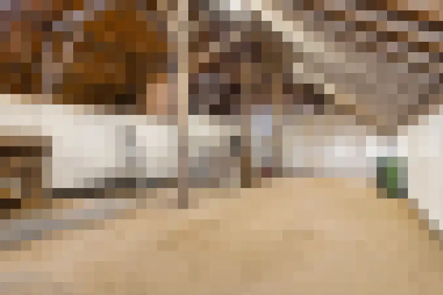 Borgercompagnie 25 Sappemeer thumbnail 50