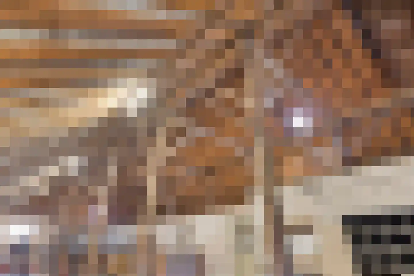 Borgercompagnie 25 Sappemeer thumbnail 52