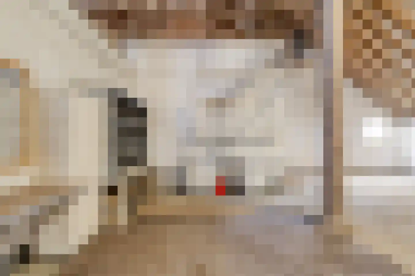 Borgercompagnie 25 Sappemeer thumbnail 53