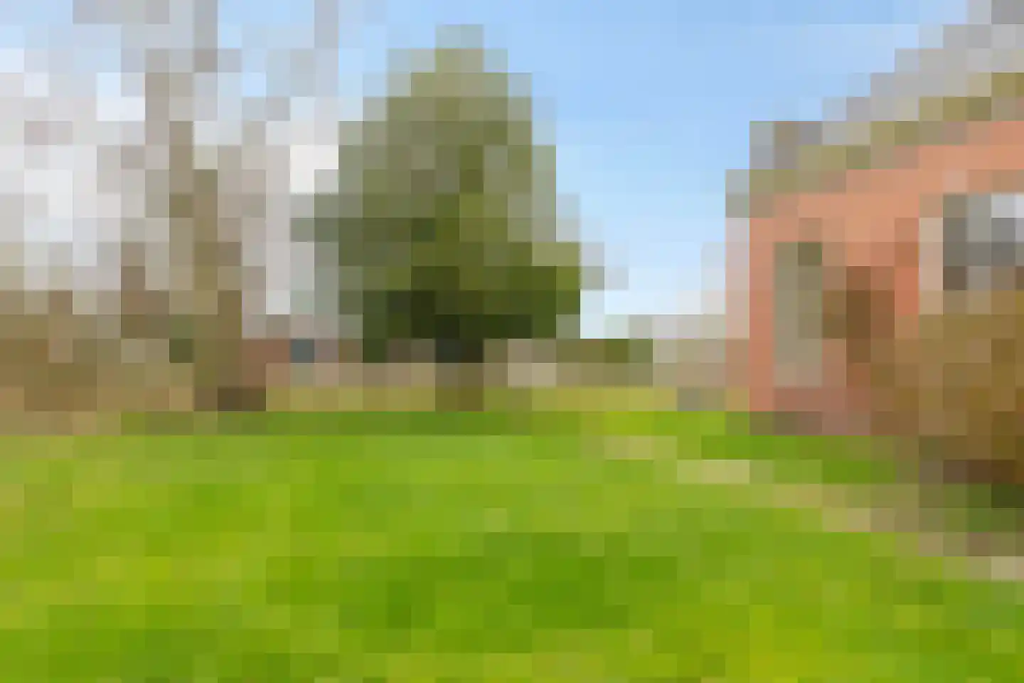 Borgercompagnie 25 Sappemeer thumbnail 54