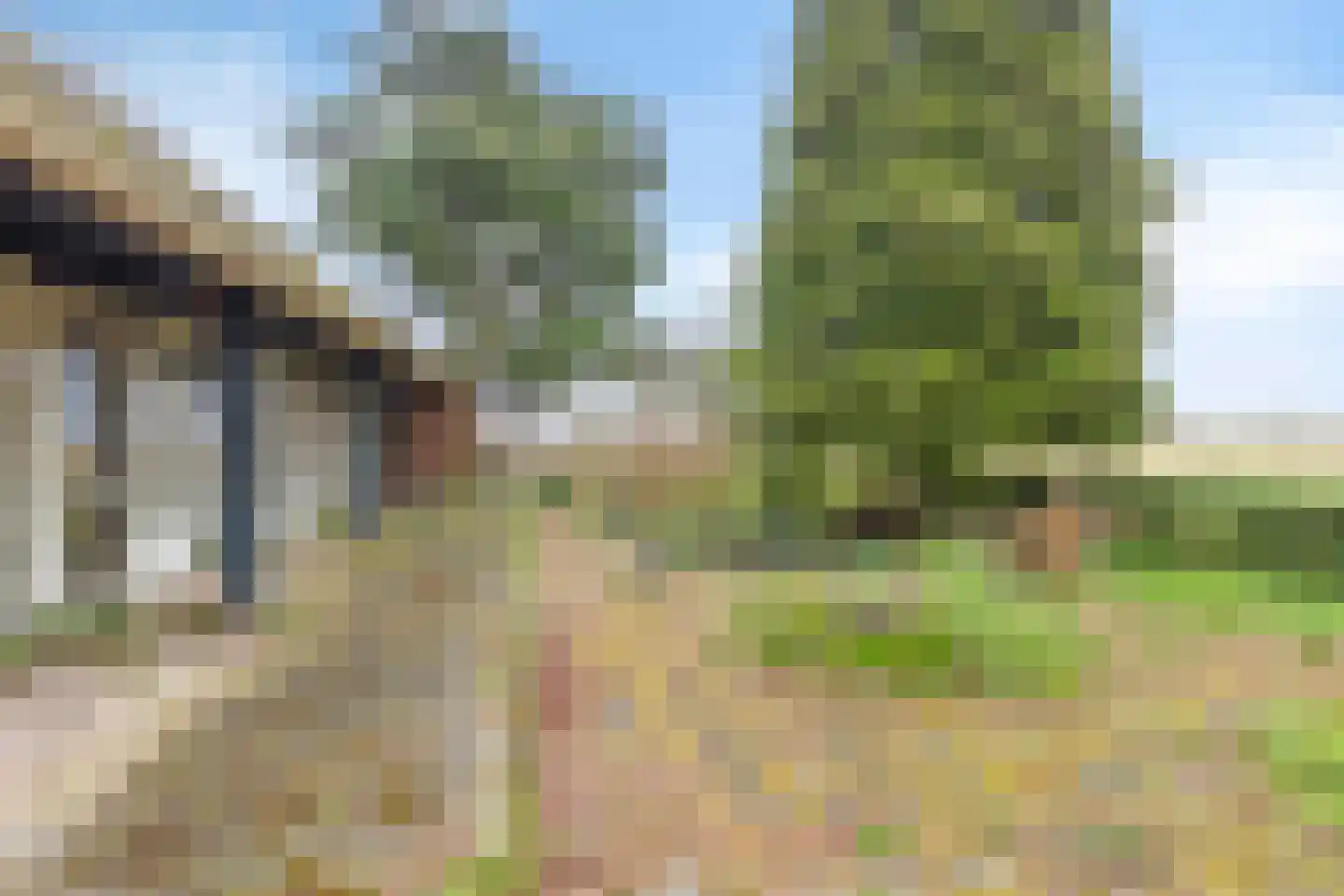 Borgercompagnie 25 Sappemeer thumbnail 55
