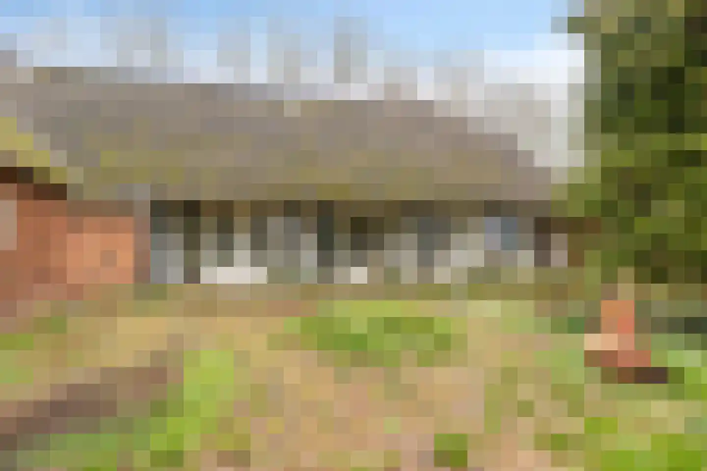 Borgercompagnie 25 Sappemeer thumbnail 56