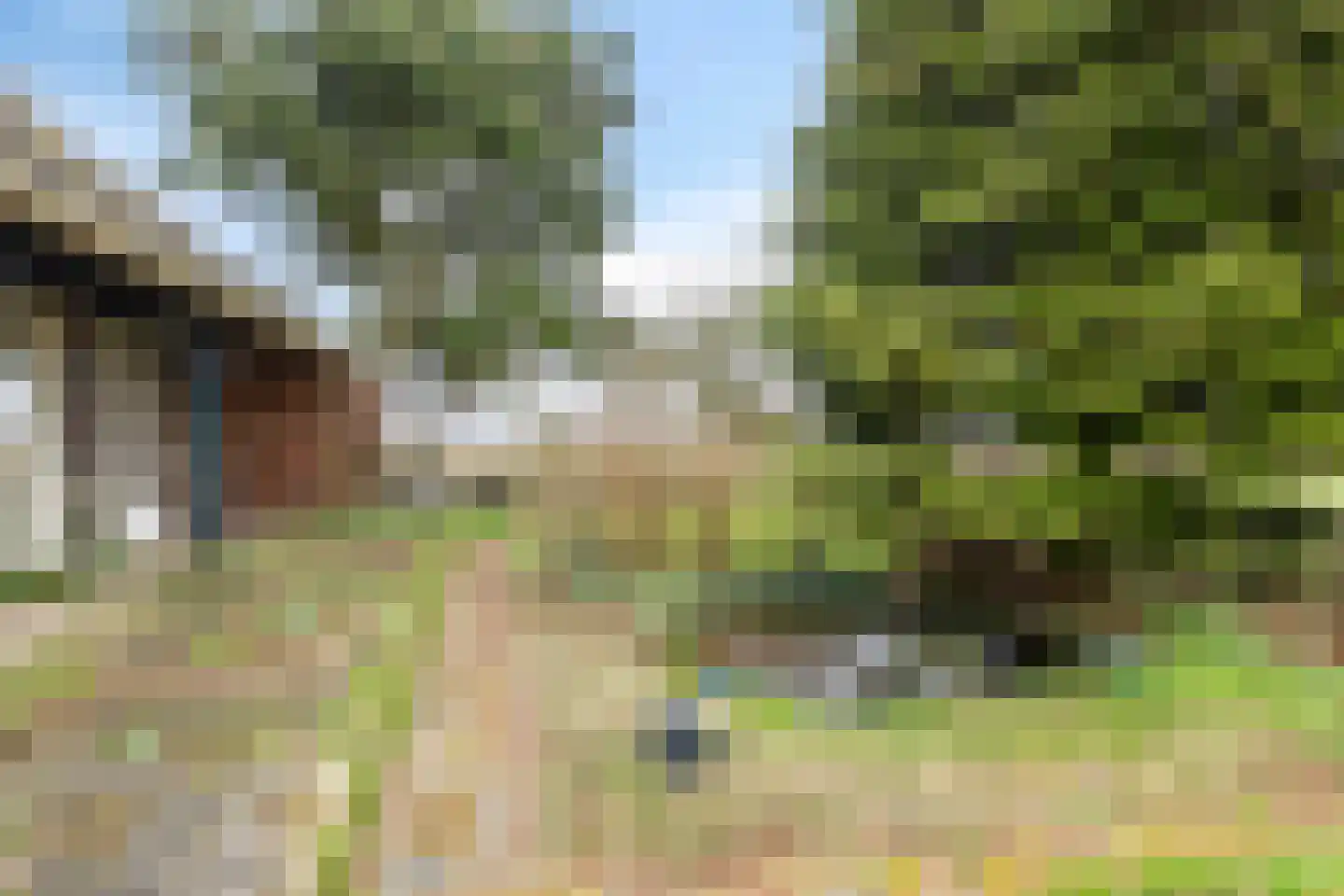 Borgercompagnie 25 Sappemeer thumbnail 57