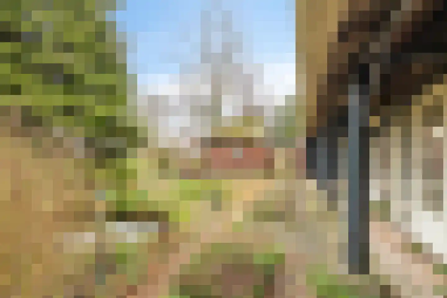 Borgercompagnie 25 Sappemeer thumbnail 58