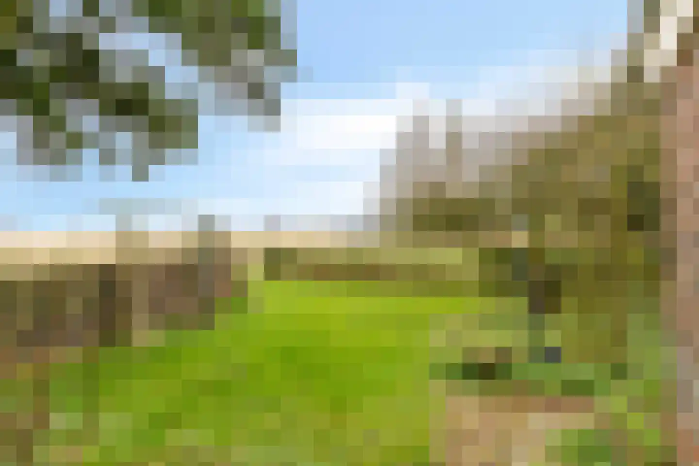 Borgercompagnie 25 Sappemeer thumbnail 59