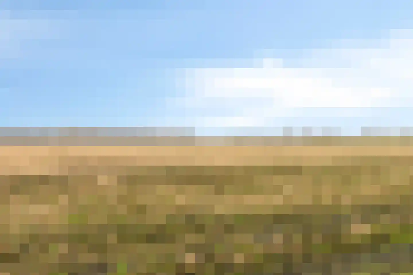Borgercompagnie 25 Sappemeer thumbnail 60