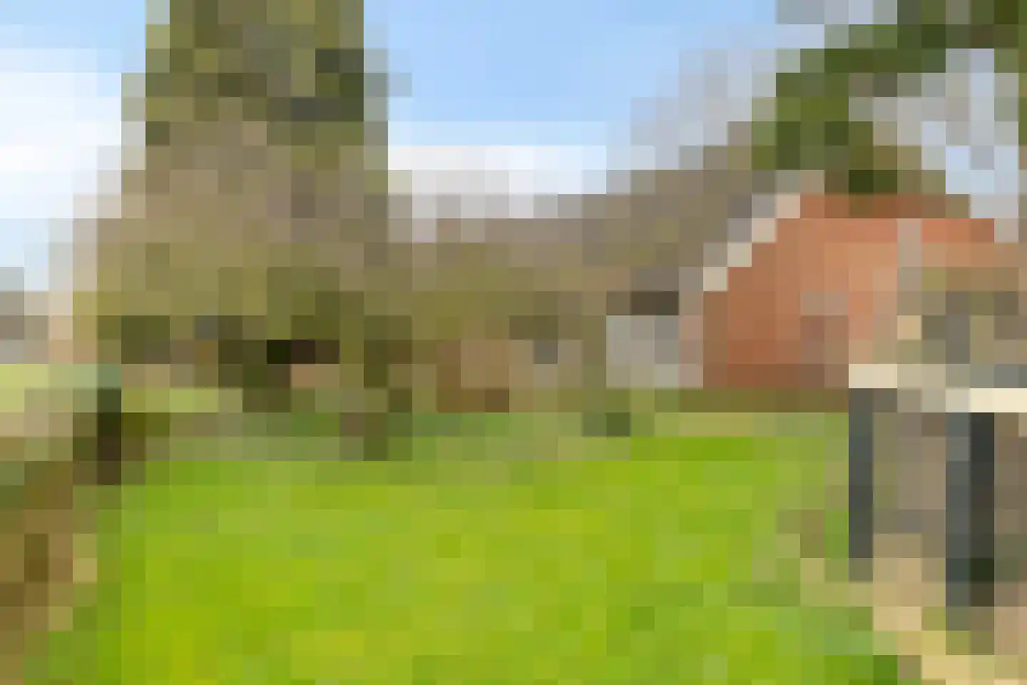 Borgercompagnie 25 Sappemeer thumbnail 61