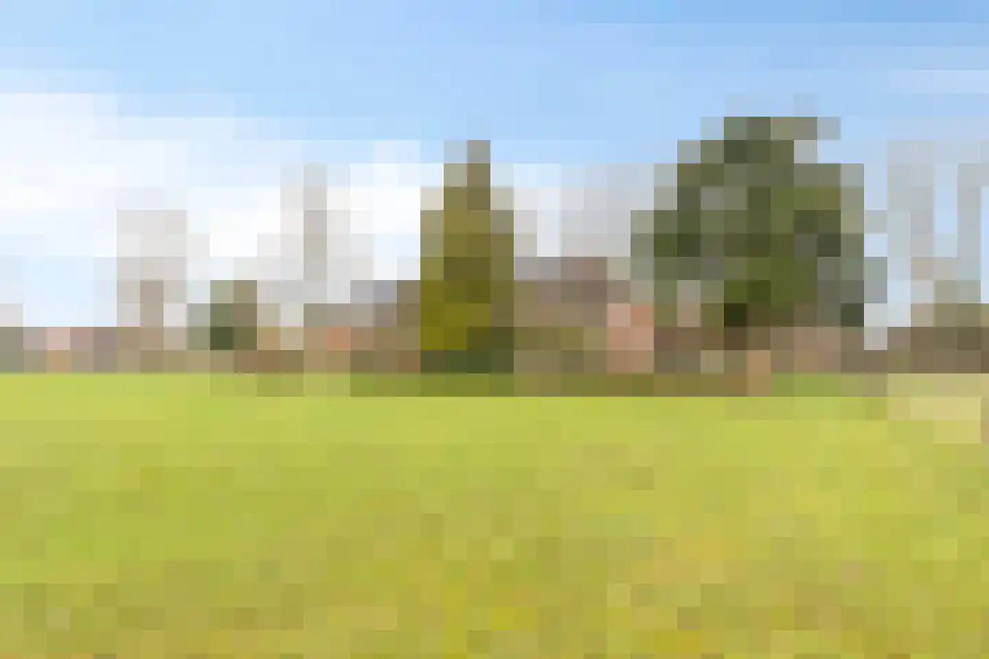 Borgercompagnie 25 Sappemeer thumbnail 64