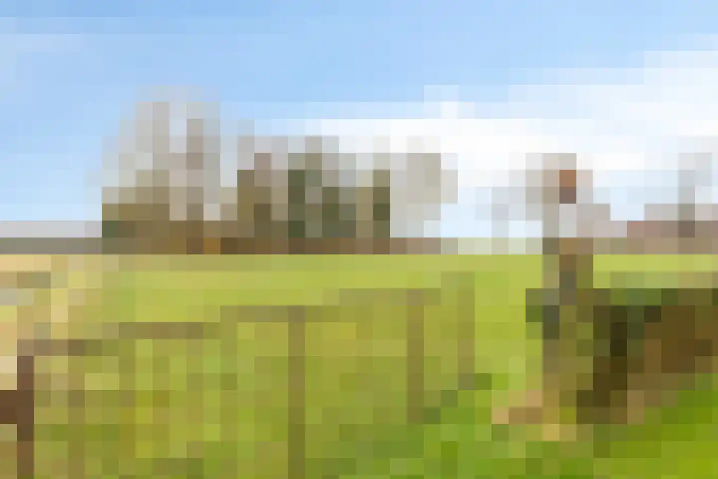 Borgercompagnie 25 Sappemeer thumbnail 65