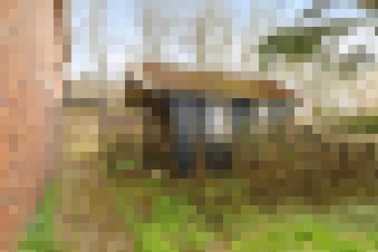 Borgercompagnie 25 Sappemeer thumbnail 66