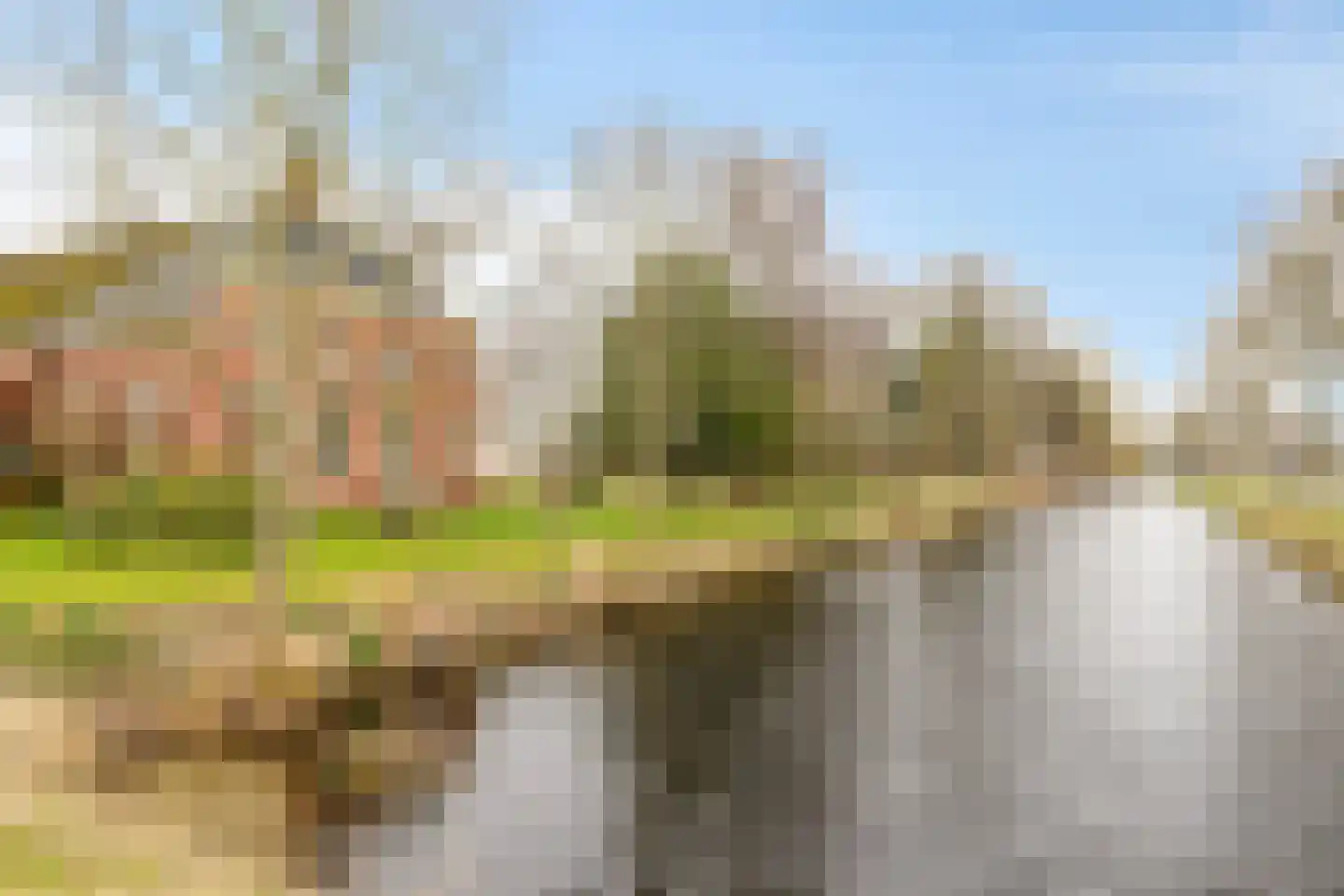 Borgercompagnie 25 Sappemeer thumbnail 7