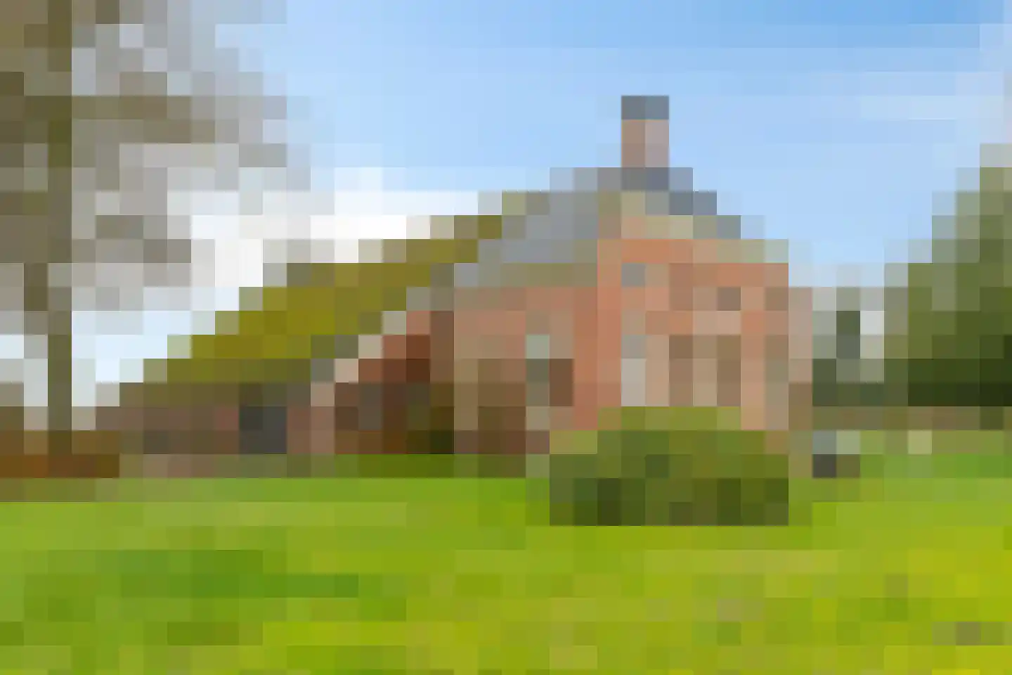 Borgercompagnie 25 Sappemeer thumbnail 8