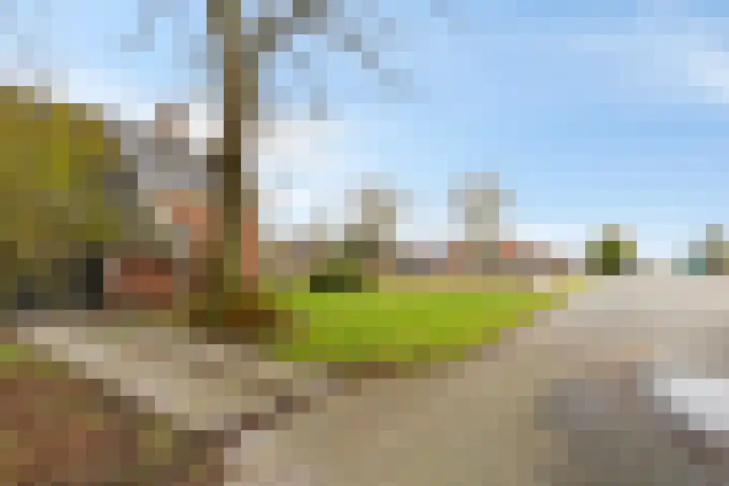 Borgercompagnie 25 Sappemeer thumbnail 9