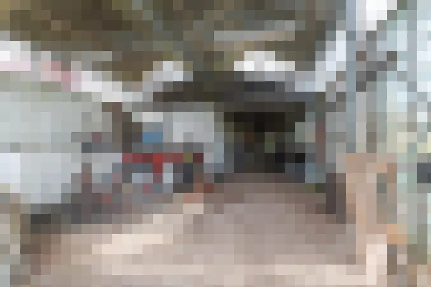 Borgercompagniesterstr 1 Sappemeer thumbnail 101