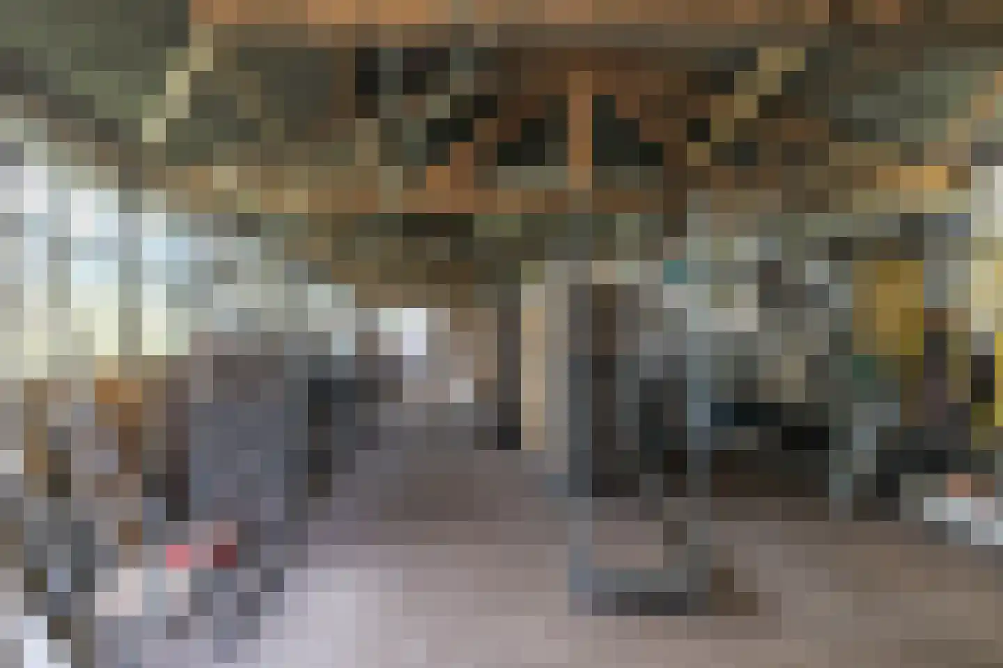 Borgercompagniesterstr 1 Sappemeer thumbnail 104