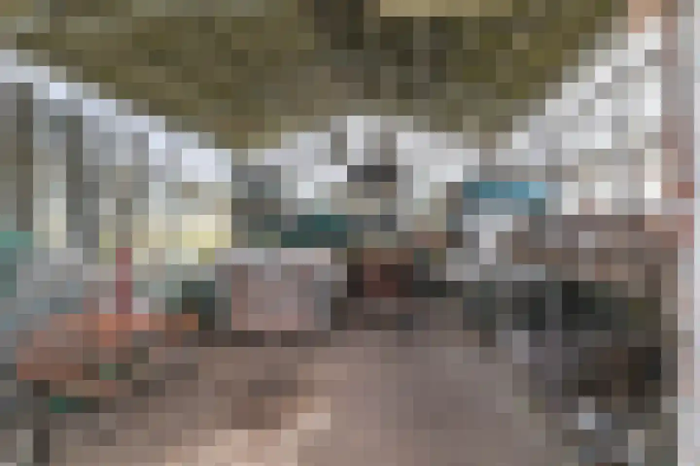 Borgercompagniesterstr 1 Sappemeer thumbnail 105
