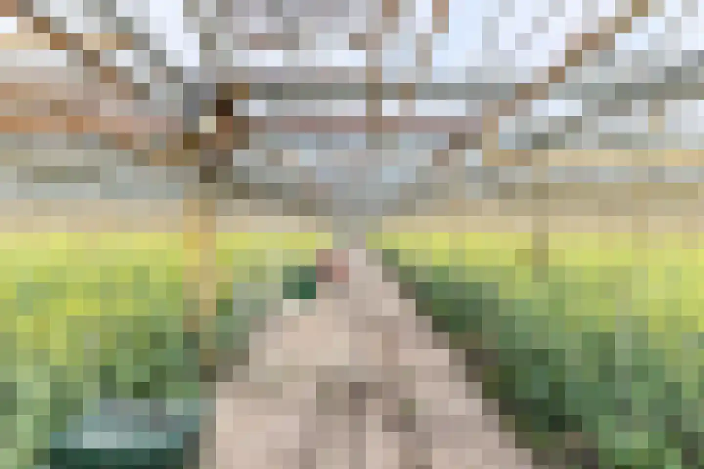 Borgercompagniesterstr 1 Sappemeer thumbnail 106