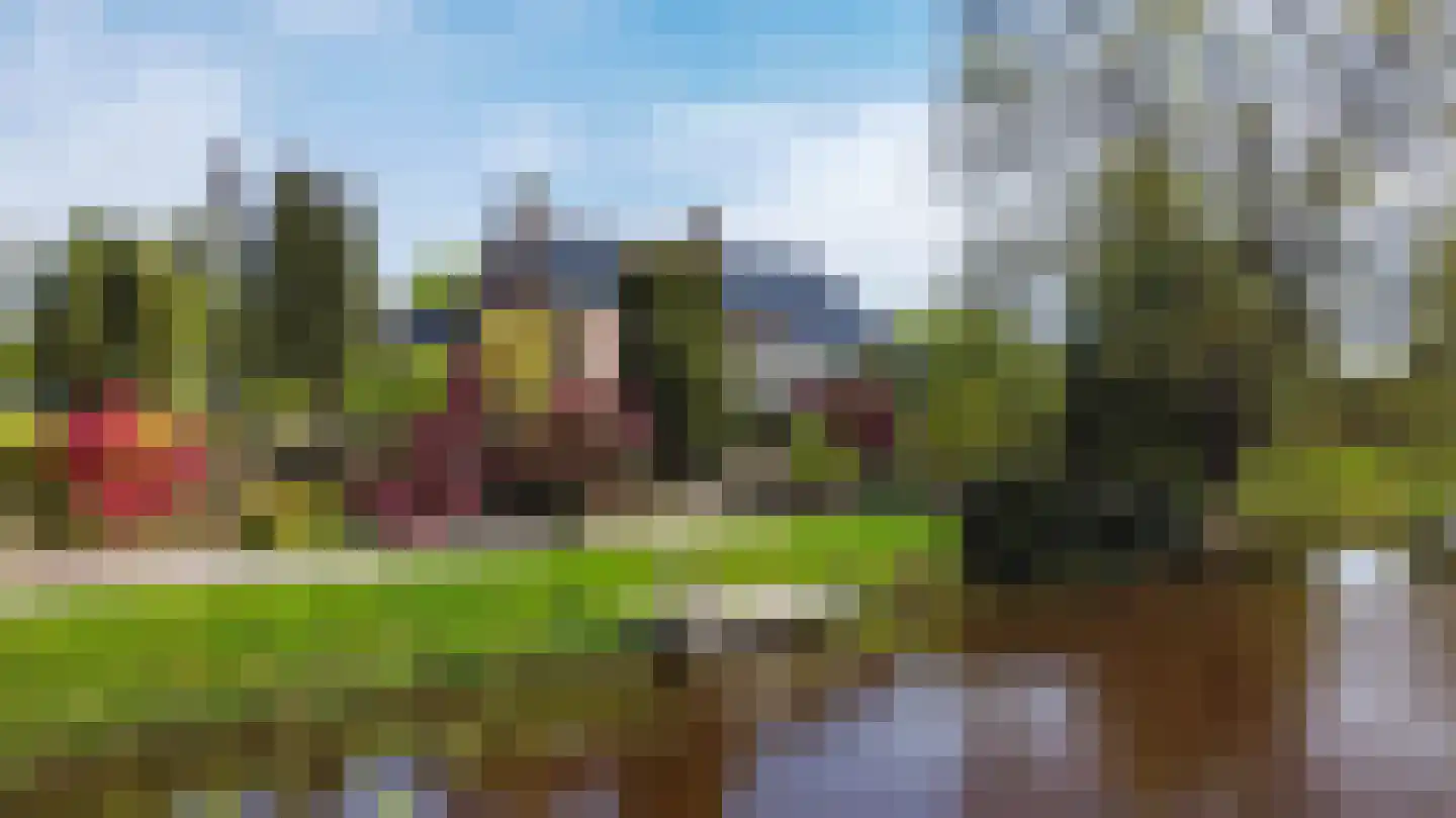 Borgercompagniesterstr 1 Sappemeer thumbnail 110