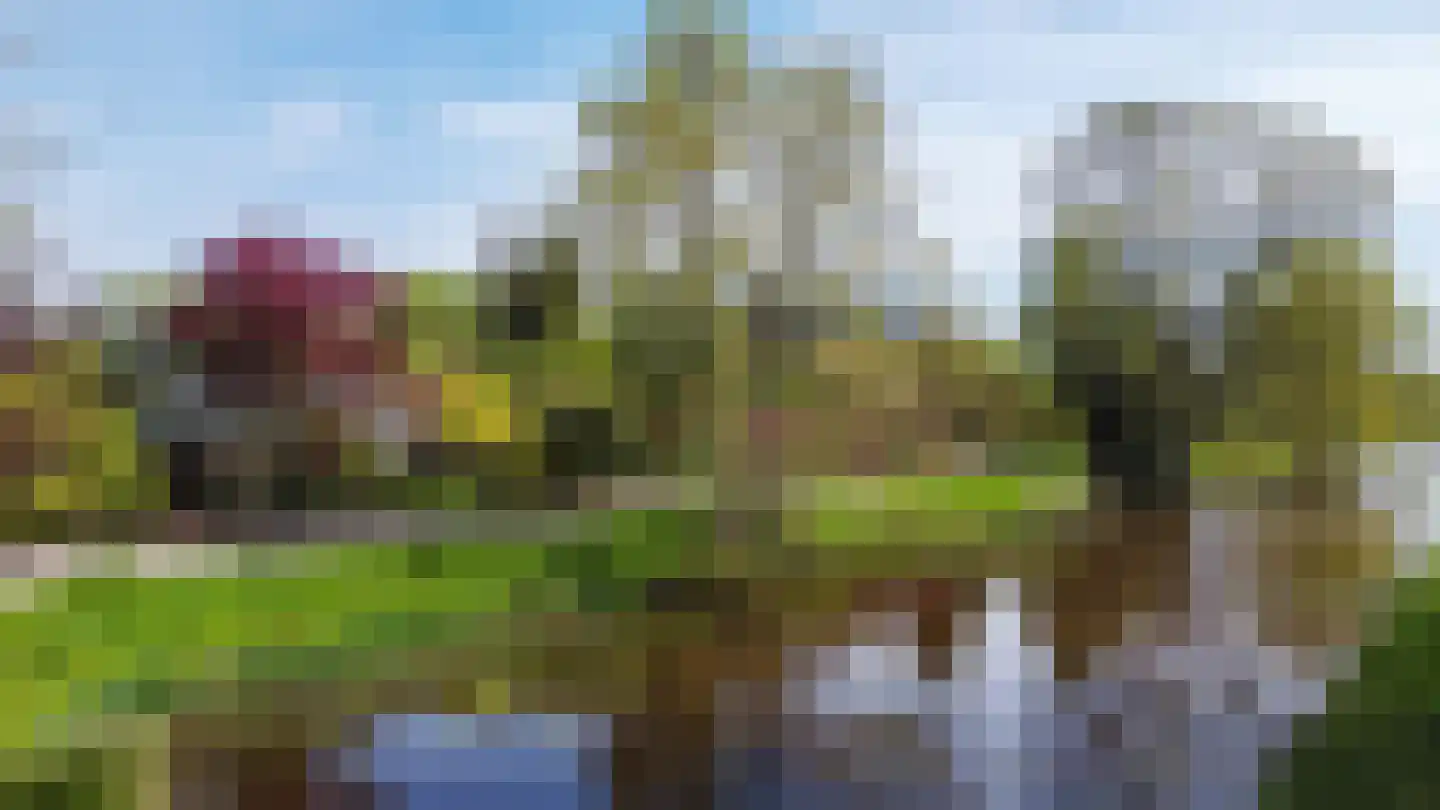 Borgercompagniesterstr 1 Sappemeer thumbnail 111