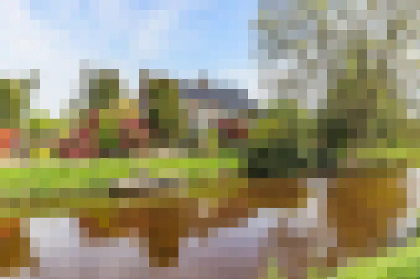 Borgercompagniesterstr 1 Sappemeer thumbnail 12