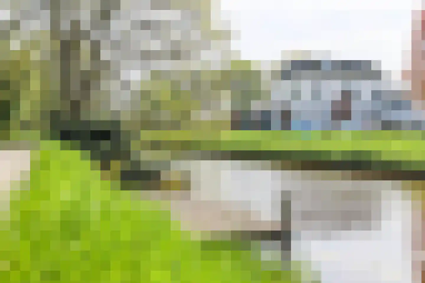 Borgercompagniesterstr 1 Sappemeer thumbnail 13