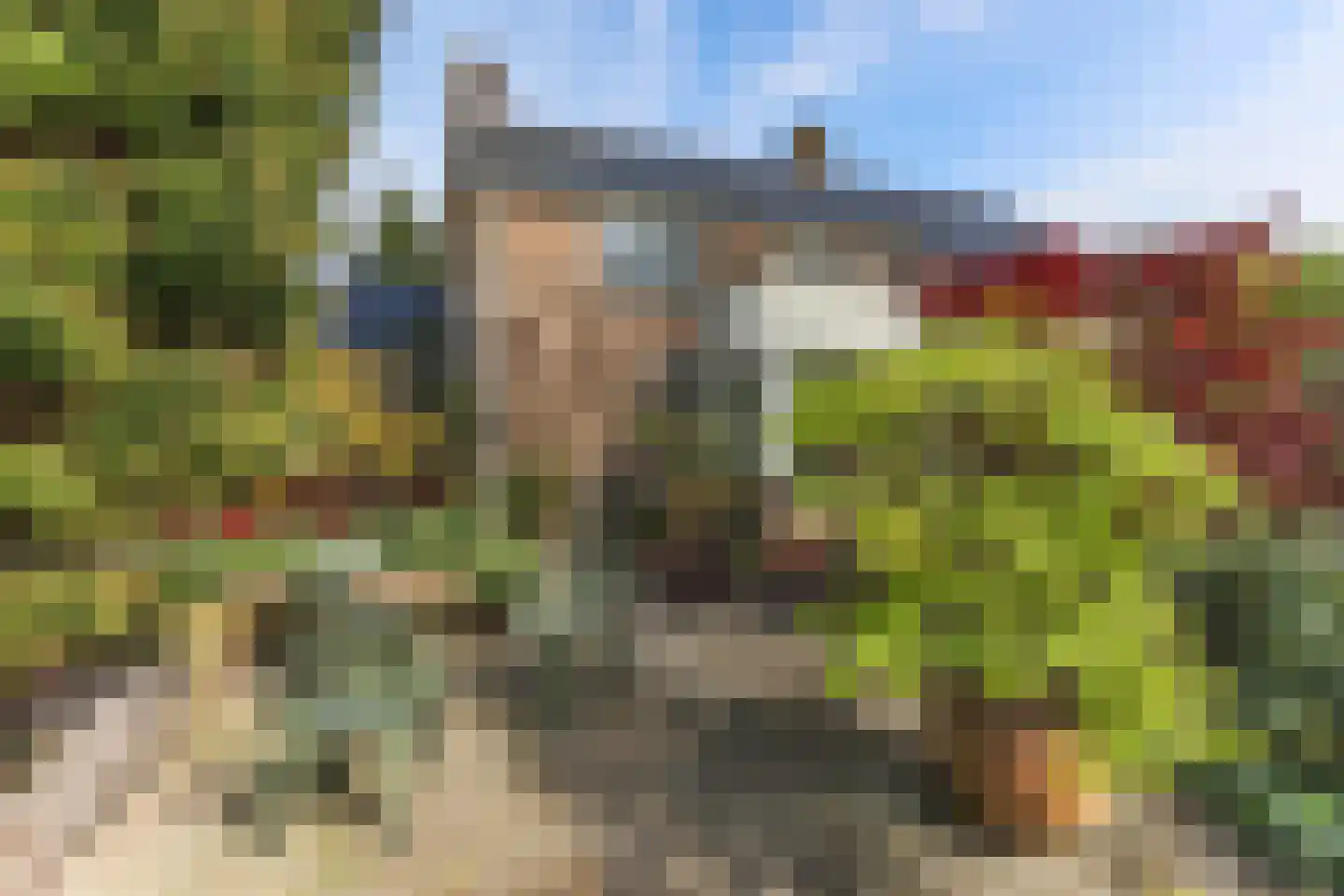 Borgercompagniesterstr 1 Sappemeer thumbnail 15