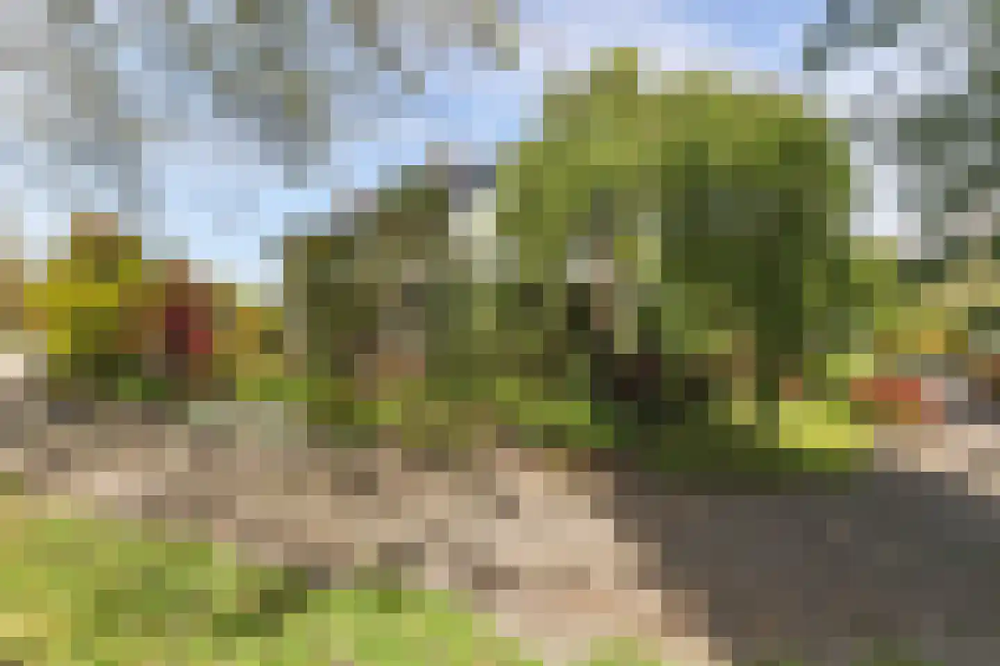 Borgercompagniesterstr 1 Sappemeer thumbnail 16