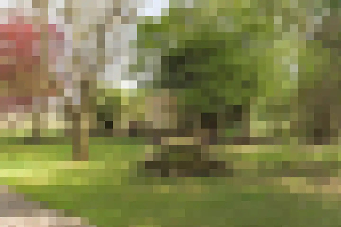 Borgercompagniesterstr 1 Sappemeer thumbnail 17