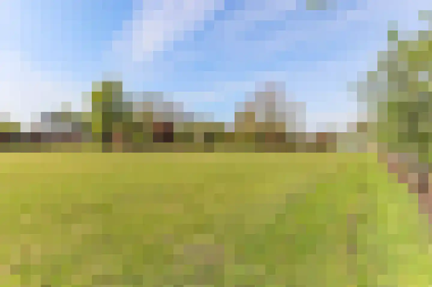 Borgercompagniesterstr 1 Sappemeer thumbnail 20