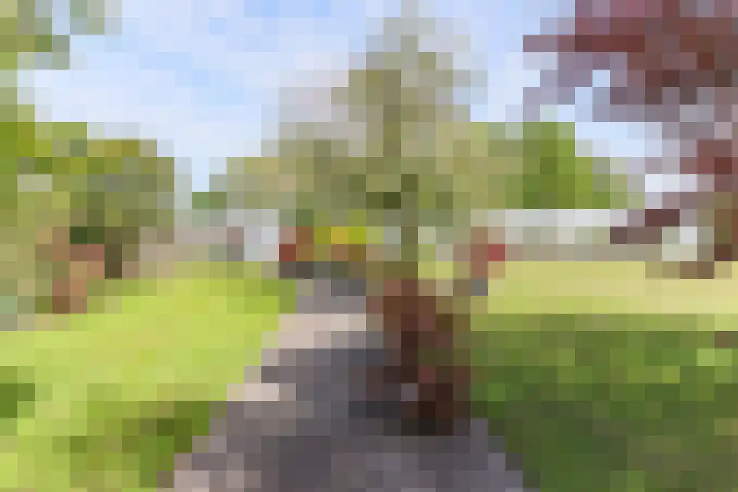 Borgercompagniesterstr 1 Sappemeer thumbnail 21
