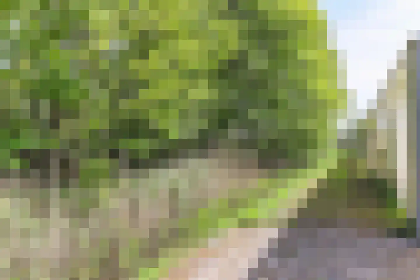 Borgercompagniesterstr 1 Sappemeer thumbnail 22