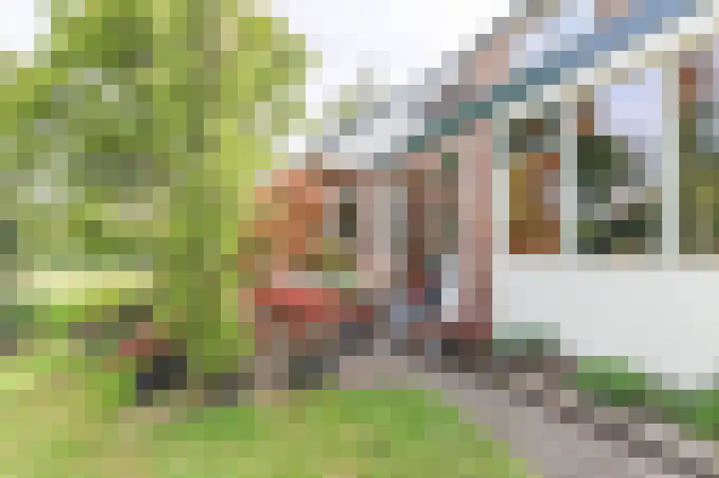 Borgercompagniesterstr 1 Sappemeer thumbnail 25