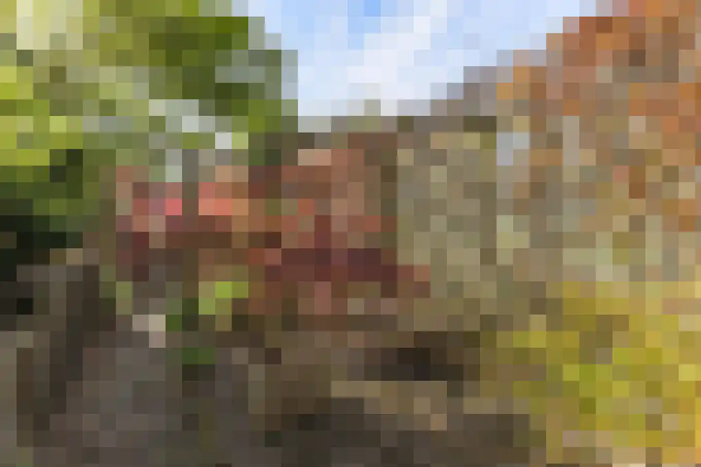 Borgercompagniesterstr 1 Sappemeer thumbnail 30