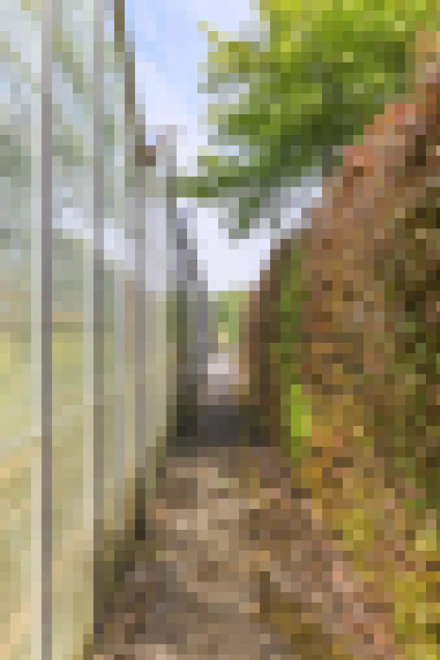 Borgercompagniesterstr 1 Sappemeer thumbnail 31