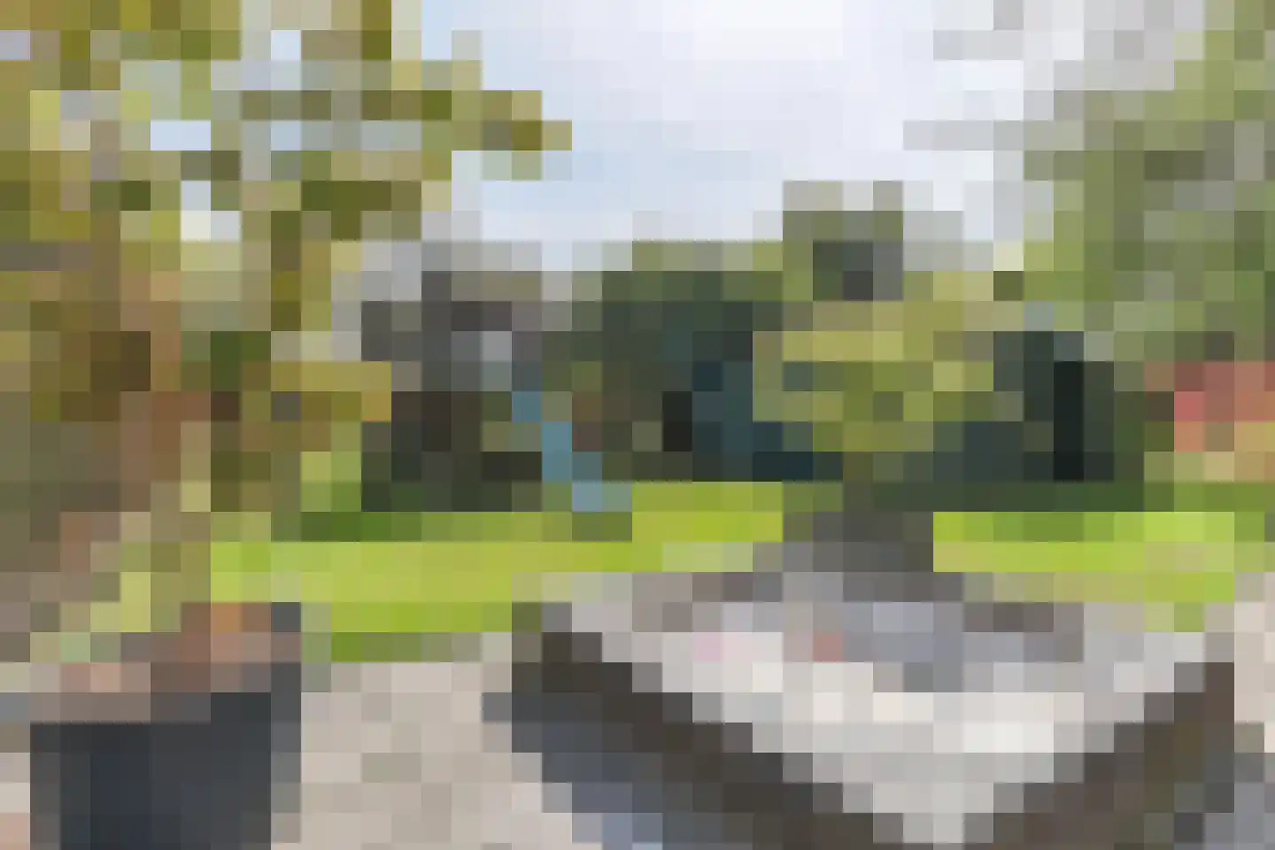 Borgercompagniesterstr 1 Sappemeer thumbnail 36